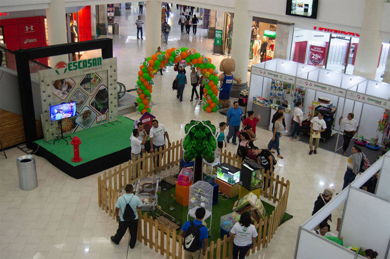 Montaje de feria para Escasan